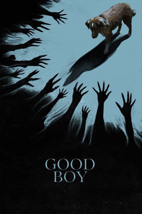 Good Boy VHS box art