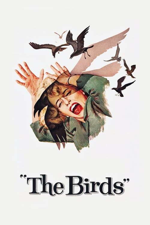 The Birds VHS box art
